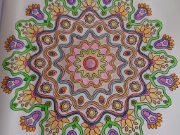 whatsapp bild 2024-01-19 um 11.16.38_2f3d5654